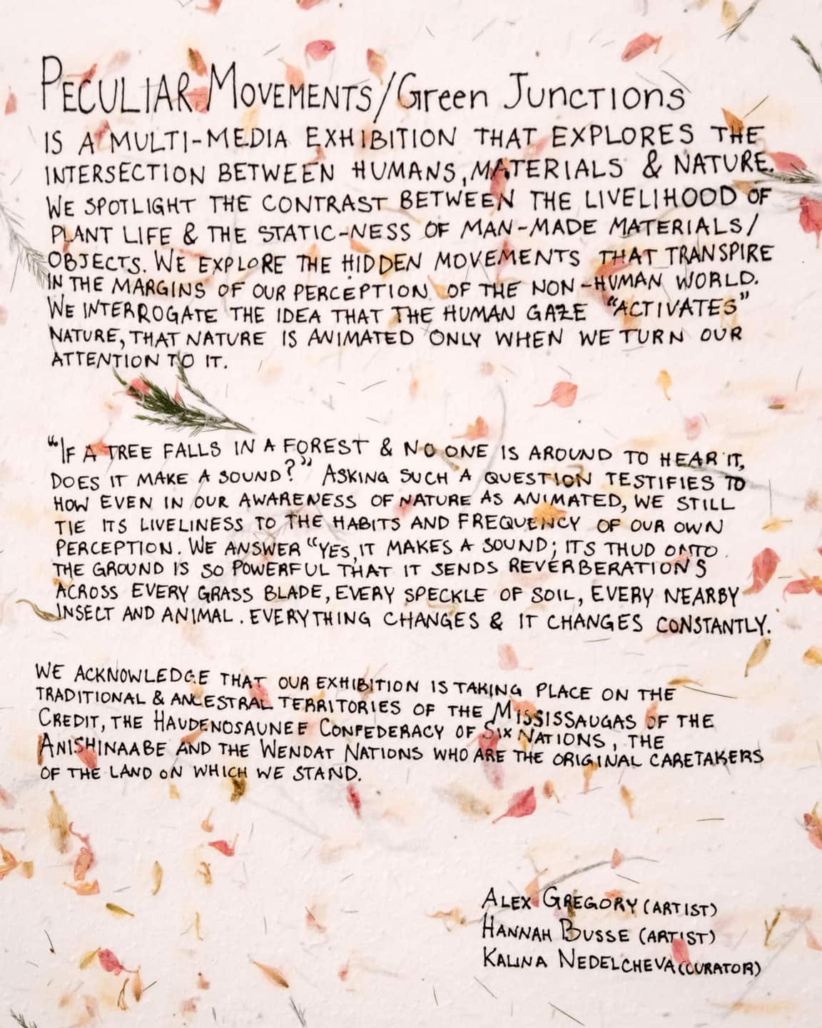 Peculiar Movements/Green Junctions at NAMARA projects